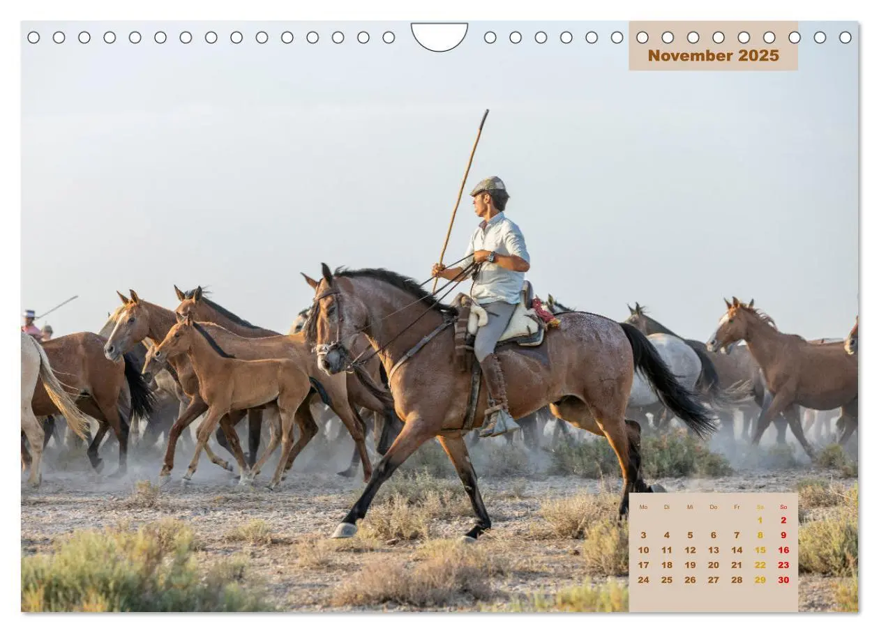 Bild: 9783435105823 | Pferde - Andalusiens wilder Westen (Wandkalender 2025 DIN A4 quer),...