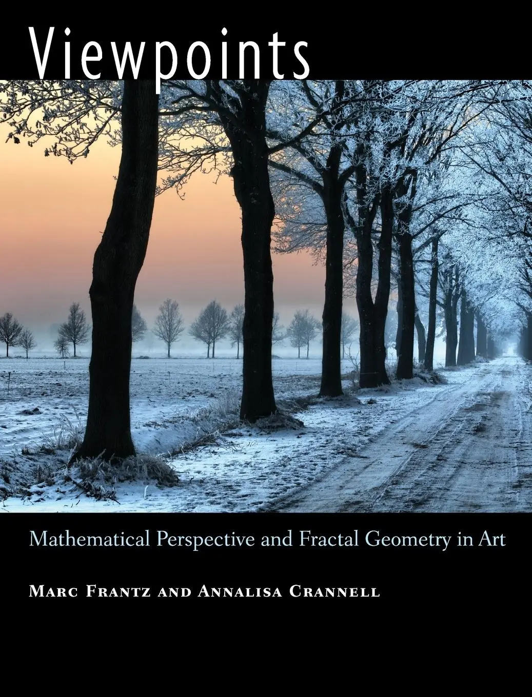 Cover: 9780691125923 | Viewpoints | Mathematical Perspective and Fractal Geometry in Art