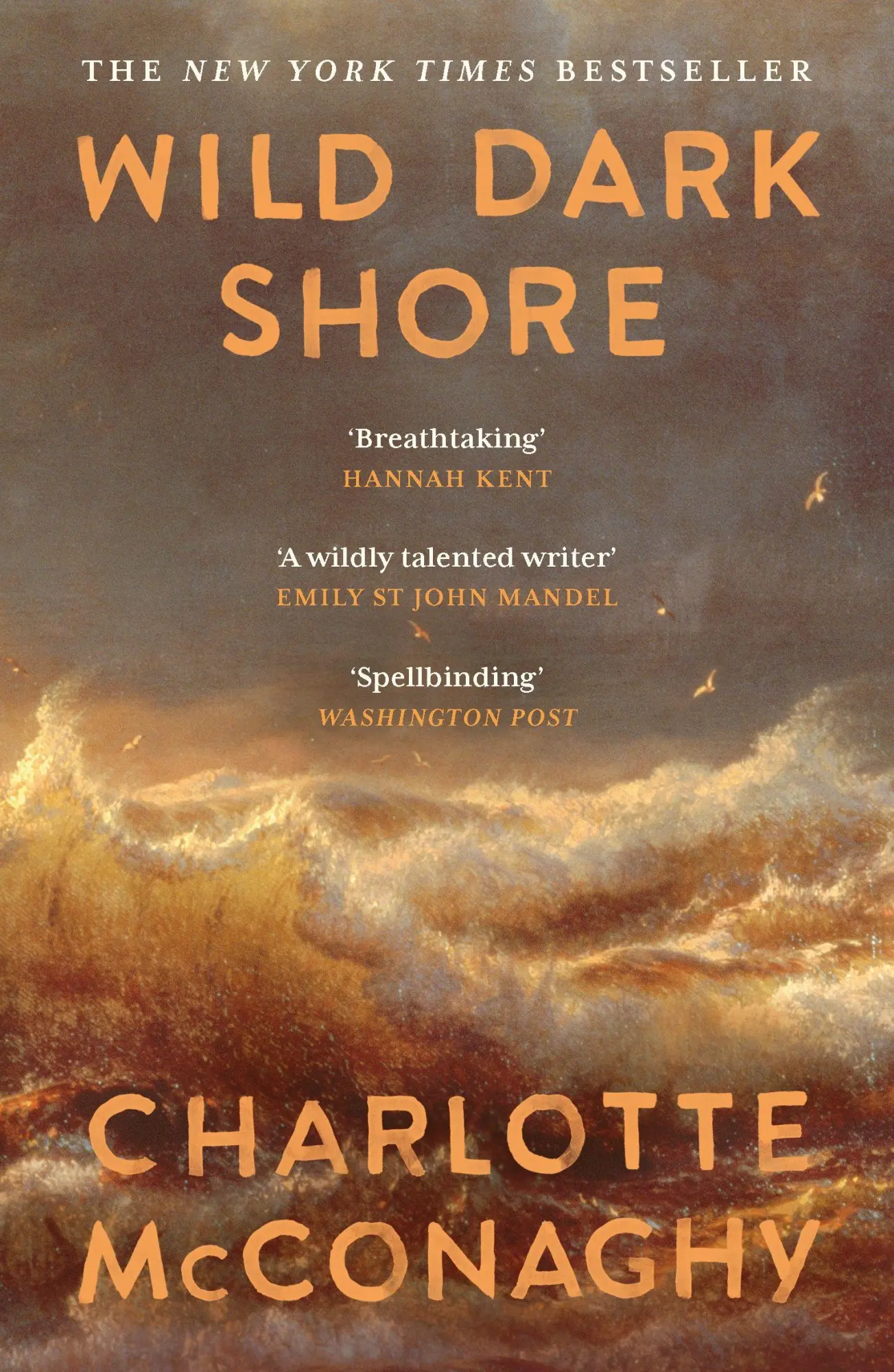 Cover: 9781837265923 | Wild Dark Shore | Charlotte McConaghy | Taschenbuch | 320 S. | 2025