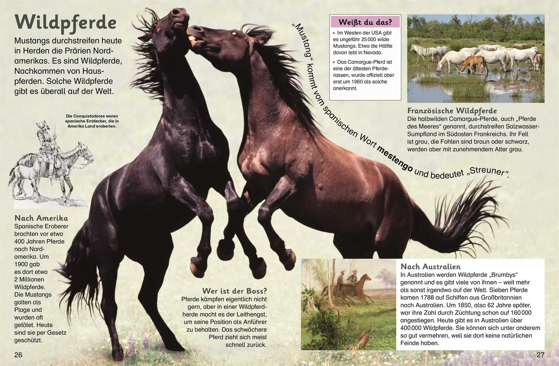 Bild: 9783831025923 | memo Kids. Pferde und Ponys | DK Verlag - Kids | Buch | memo Kids