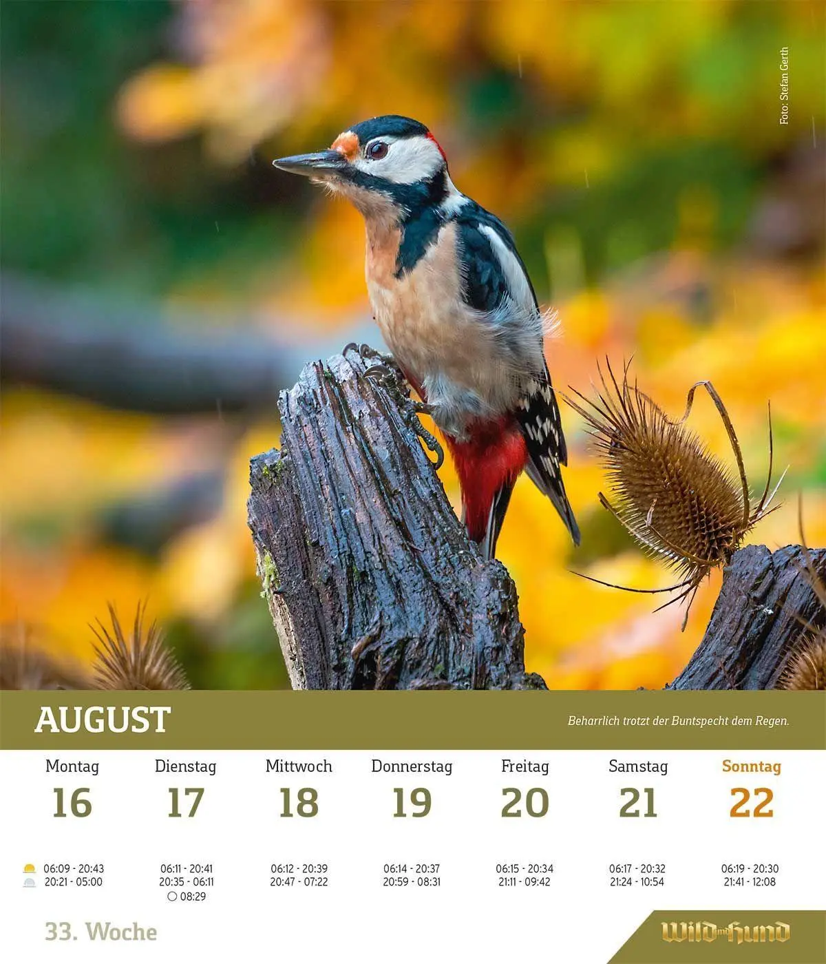 Bild: 9783897155923 | WILD UND HUND Edition: Jagdkalender Wandvariante 2027 | Wild und Hund