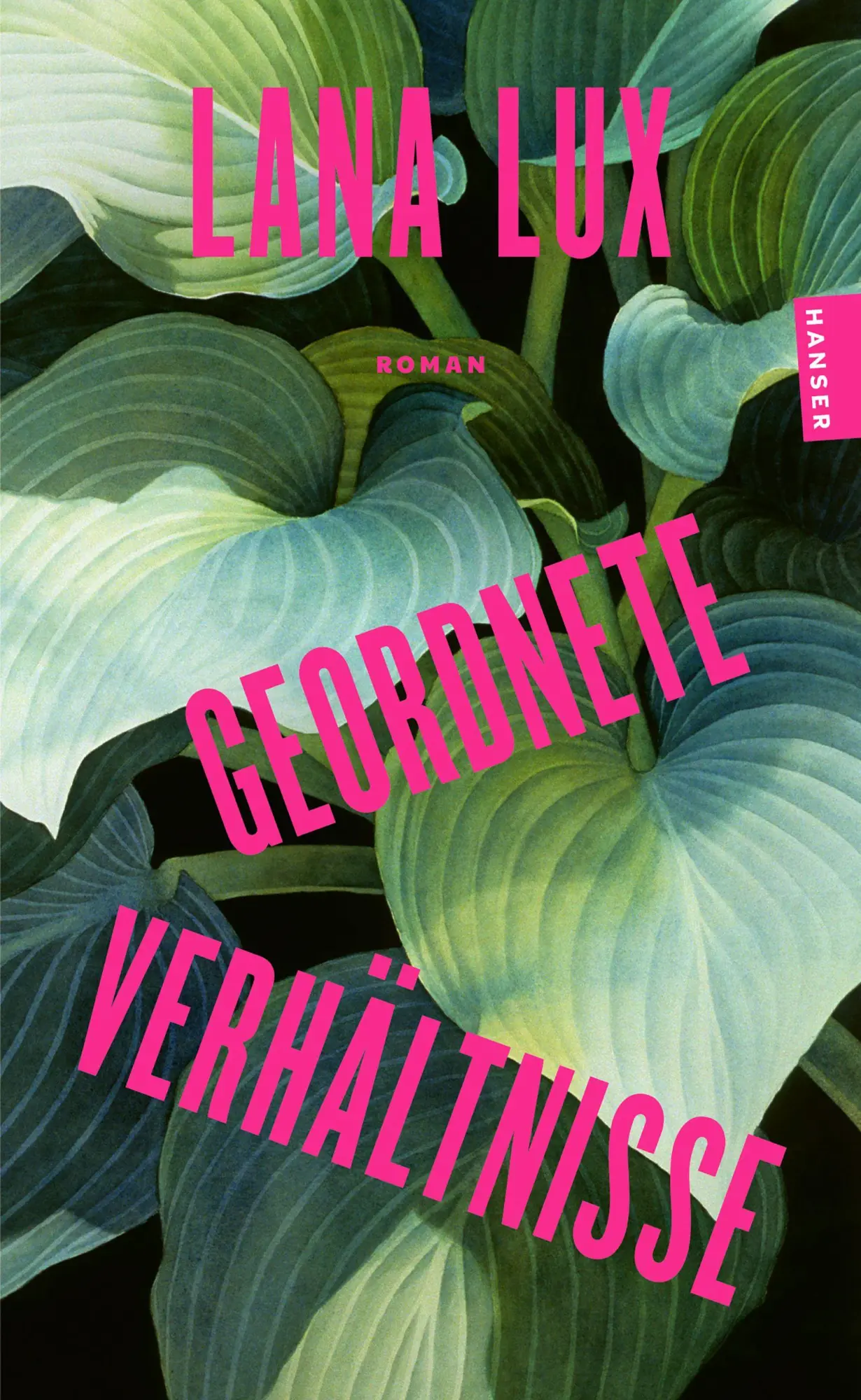Cover: 9783446286023 | Geordnete Verhältnisse | Roman | Lana Lux | Taschenbuch | 288 S.