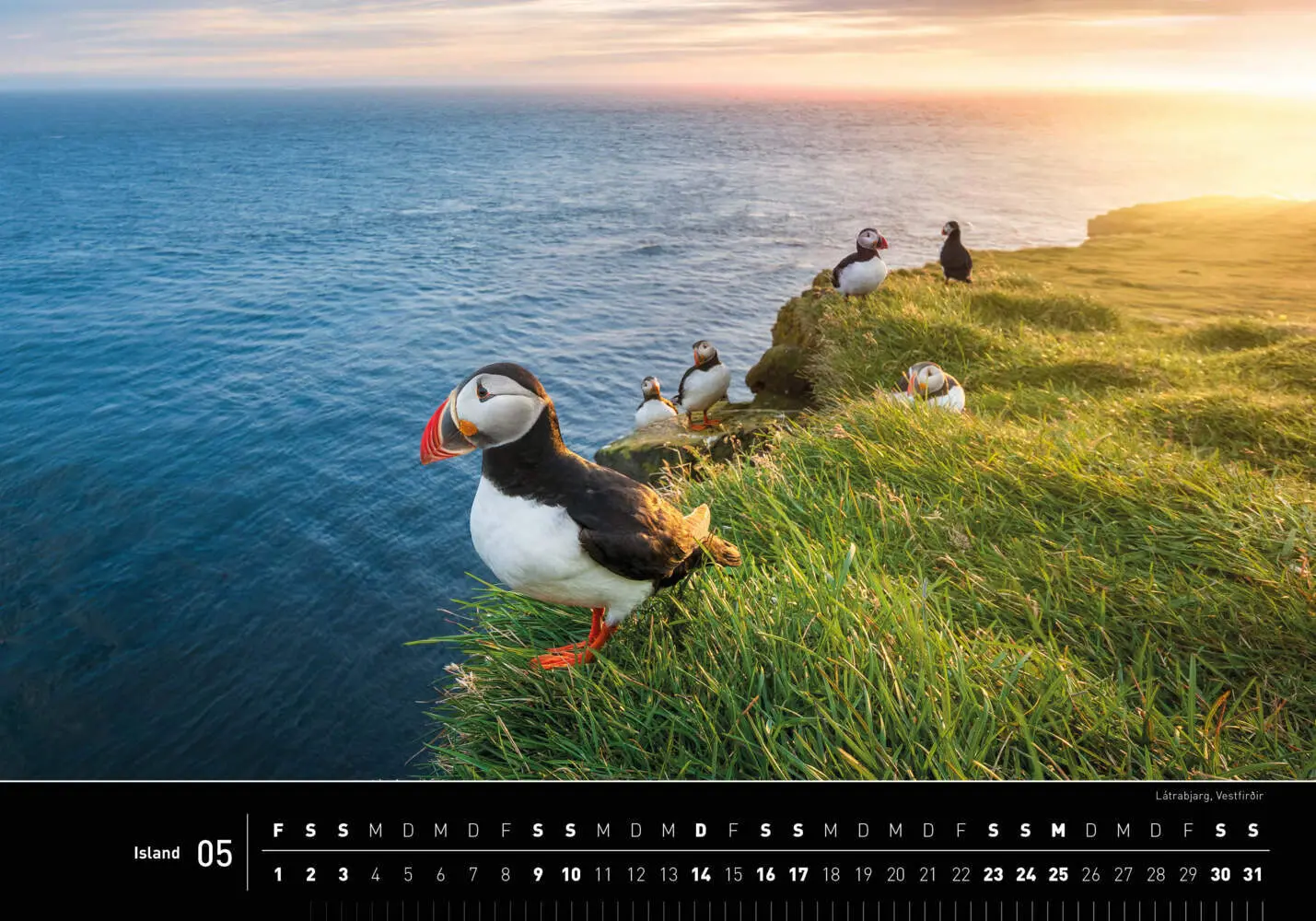 Bild: 9783968556123 | Island Premiumkalender 2026 | Gerhard Zwerger-Schoner (u. a.) | 2026