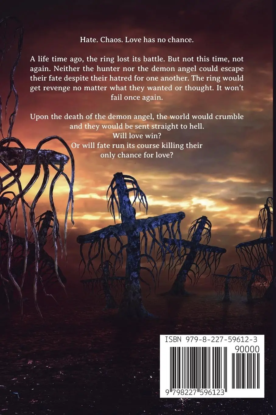 Rückseite: 9798227596123 | Driving into the Night | Amanda Kay | Taschenbuch | Englisch | 2024
