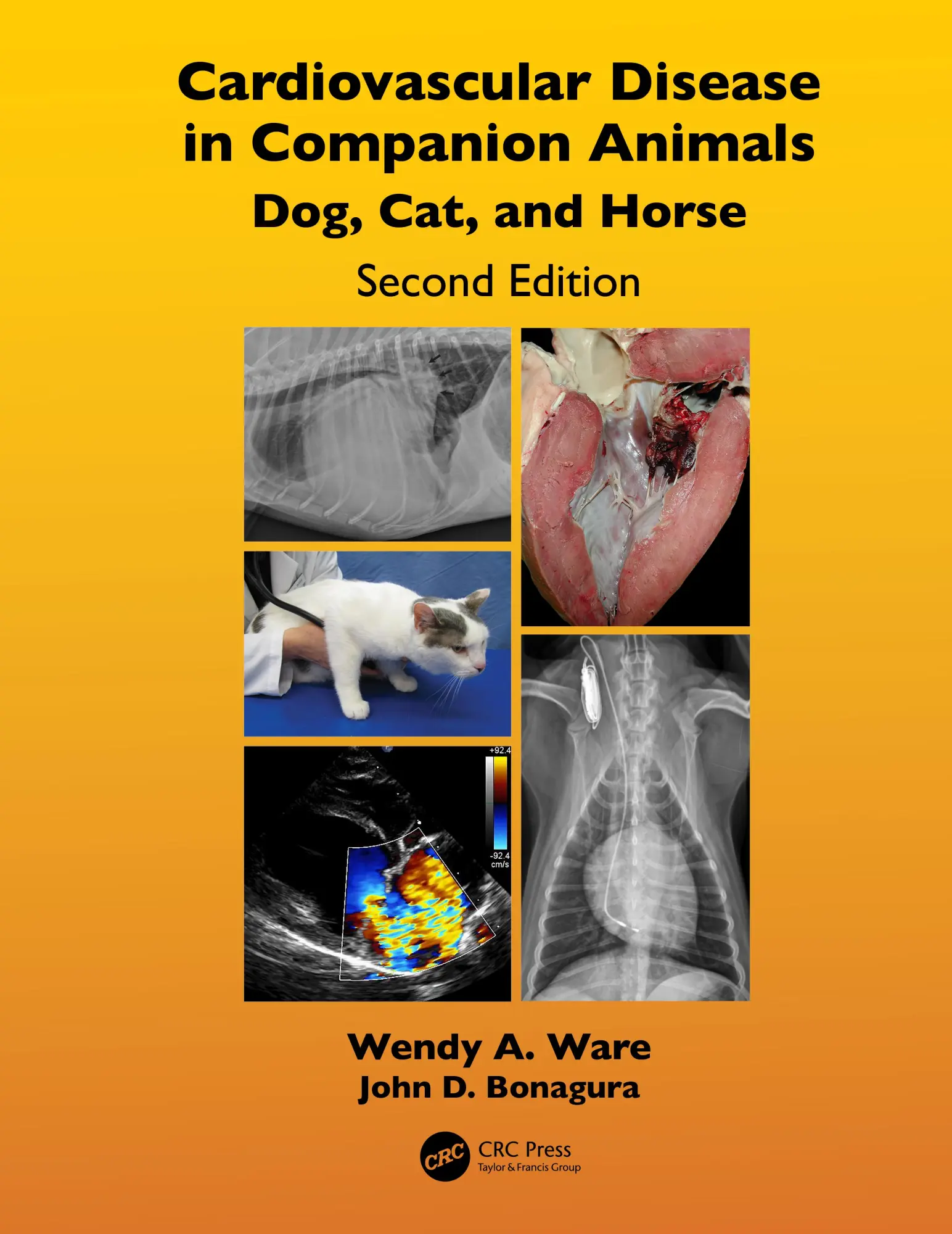 Cover: 9781482246223 | Cardiovascular Disease in Companion Animals | Dog, Cat and Horse