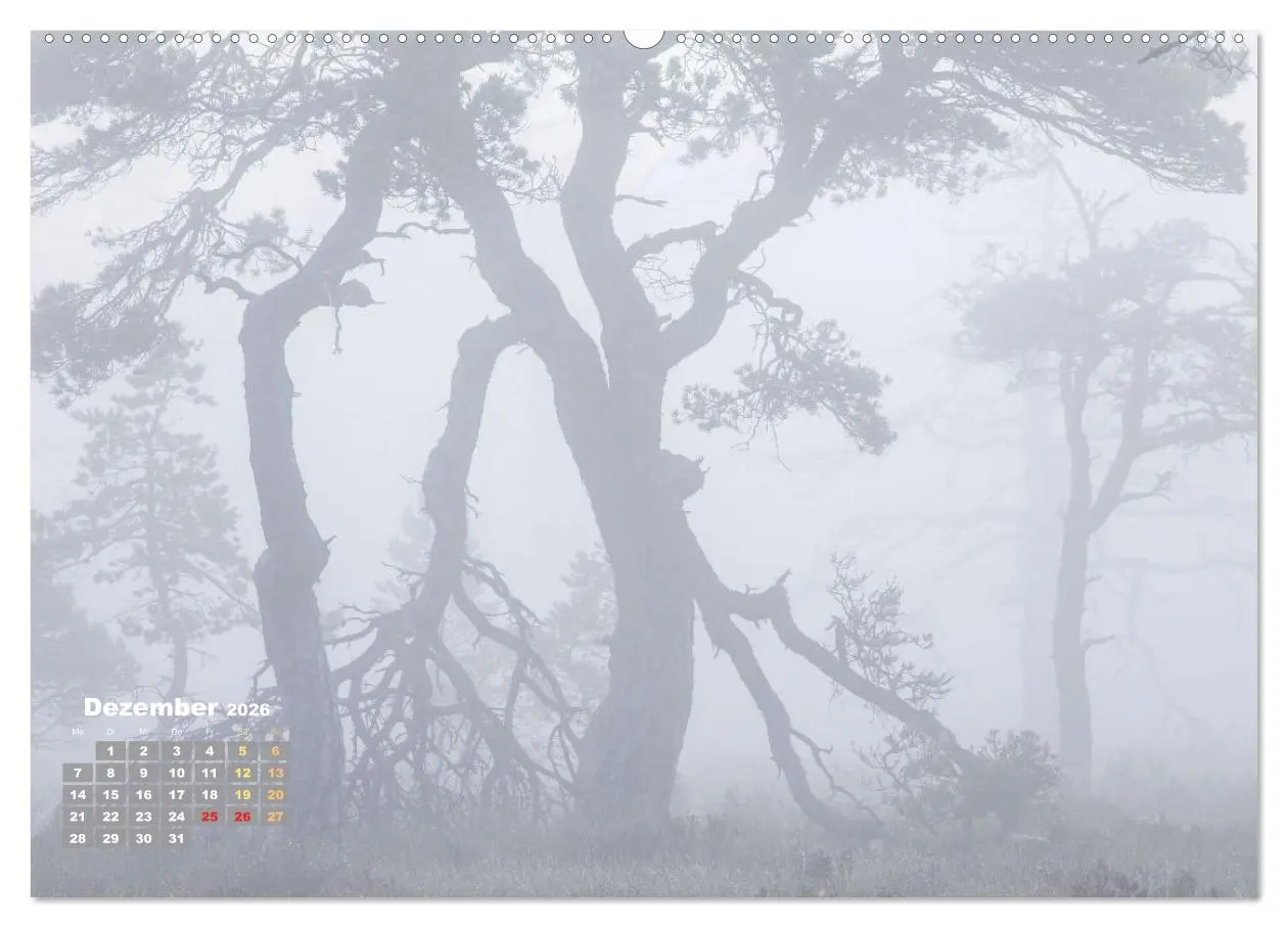 Bild: 9783457396223 | Naturschauspiele in Schottland (Wandkalender 2026 DIN A2 quer),...