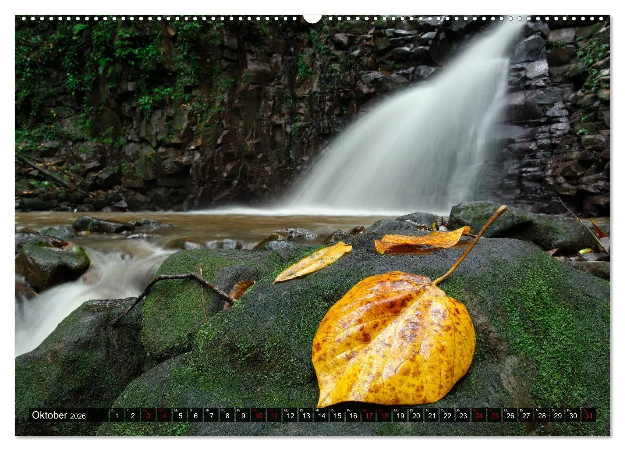 Bild: 9783457916223 | Inselwelt Karibik (Wandkalender 2026 DIN A2 quer), CALVENDO...