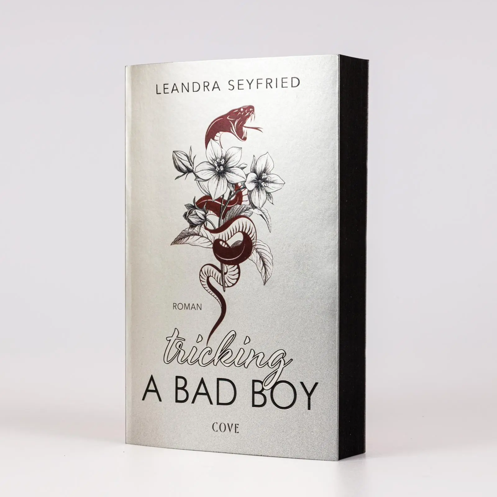 Bild: 9783551586223 | Tricking A Bad Boy (Sons of Chicago 1) | Leandra Seyfried | Buch