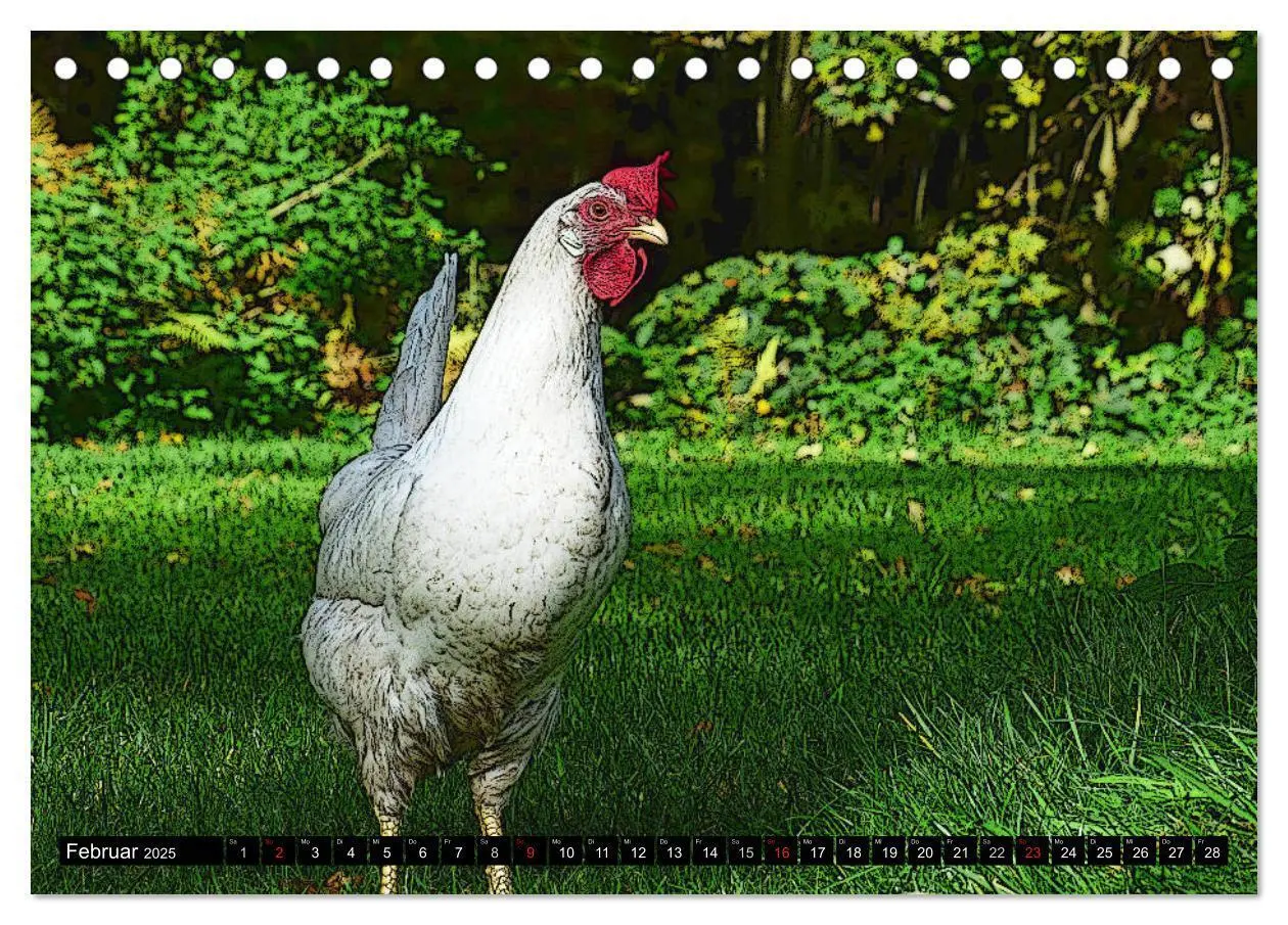 Bild: 9783435506323 | Die Hühner sind los! (Tischkalender 2025 DIN A5 quer), CALVENDO...