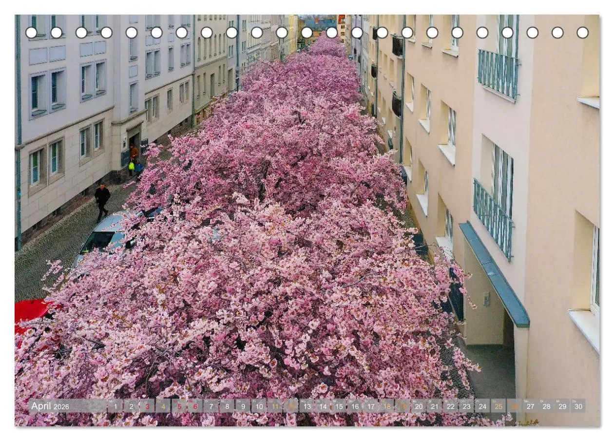 Bild: 9783457526323 | HALLE SAALE GEDROHNT 2026 (Tischkalender 2026 DIN A5 quer),...