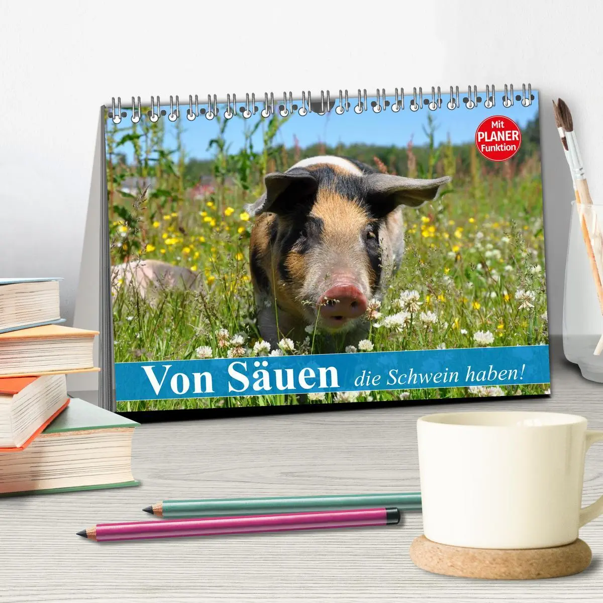 Bild: 9783457996423 | Von Säuen die Schwein haben! (Tischkalender 2026 DIN A5 quer),...