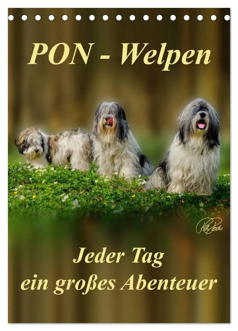 Cover: 9783516466423 | PON-Welpen - jeder Tag ein großes Abenteuer / Planer (Tischkalender...