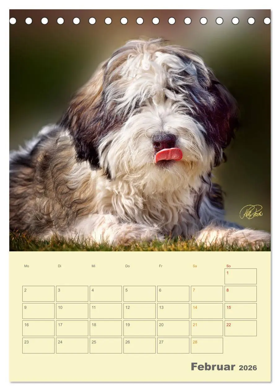 Bild: 9783516466423 | PON-Welpen - jeder Tag ein großes Abenteuer / Planer (Tischkalender...