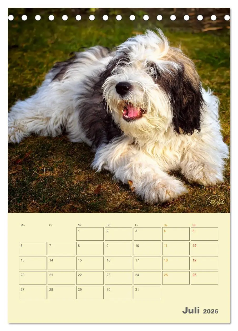 Bild: 9783516466423 | PON-Welpen - jeder Tag ein großes Abenteuer / Planer (Tischkalender...