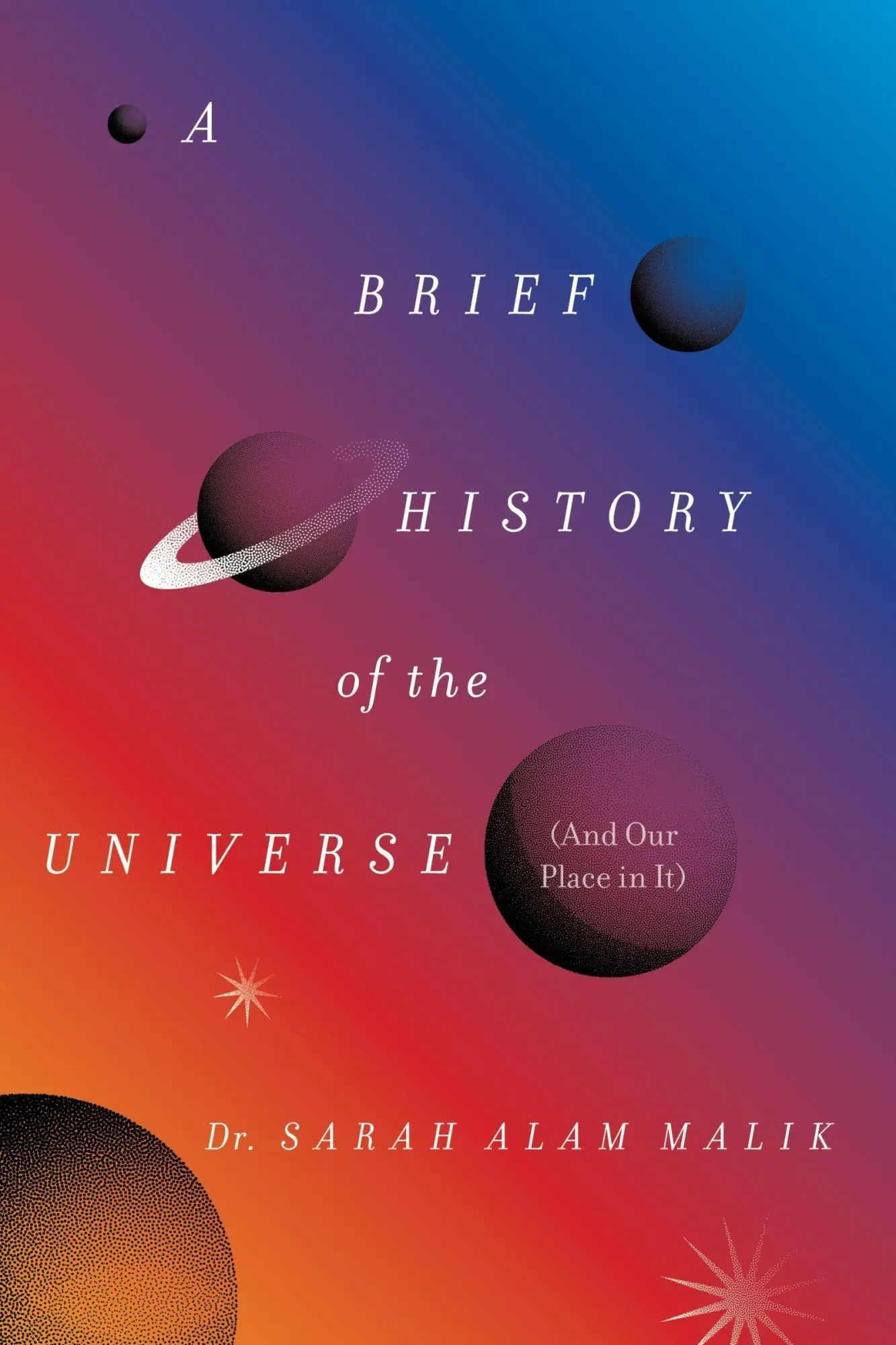 Cover: 9780063476523 | A Brief History of the Universe (and Our Place in It) | Malik | Buch