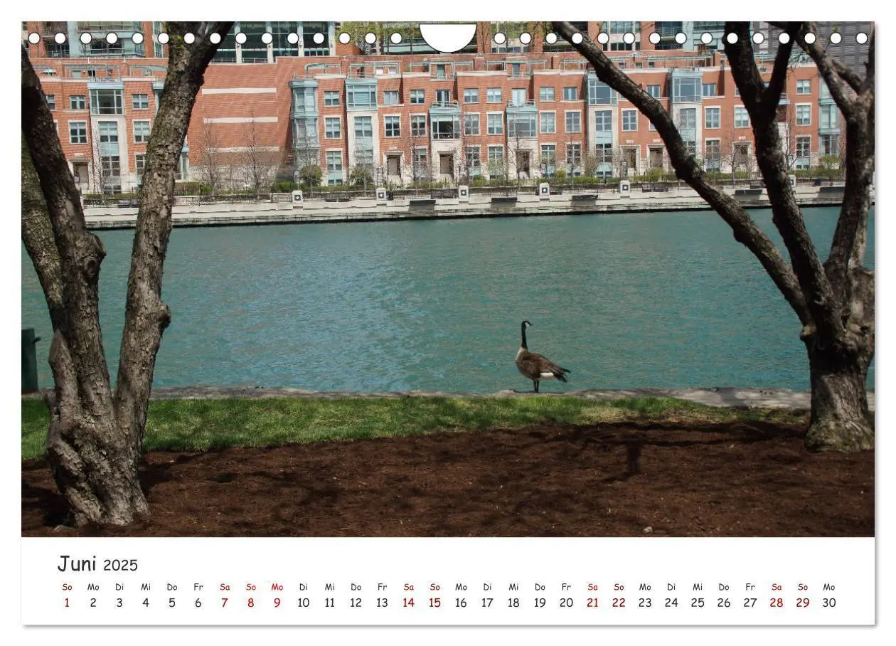 Bild: 9783435276523 | beeindruckendes Chicago (Wandkalender 2025 DIN A4 quer), CALVENDO...