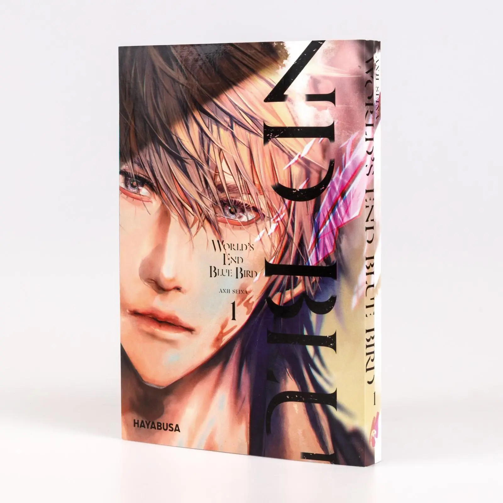 Bild: 9783551626523 | World's End Blue Bird 1 Limited Edition | Anji Seina | Taschenbuch