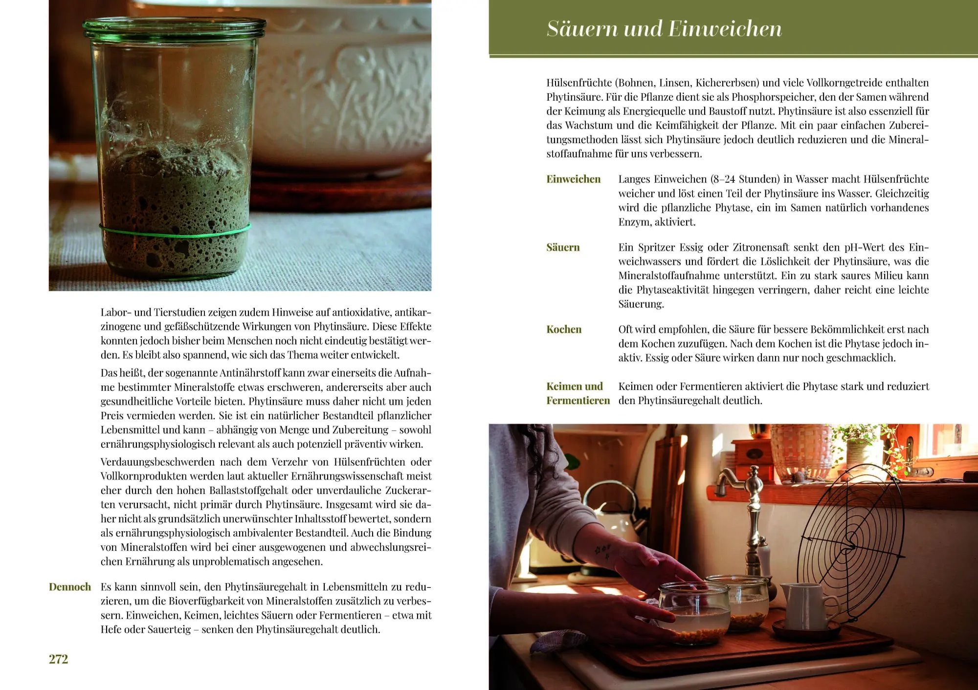 Bild: 9783969676523 | Wohlfühlküche für jeden Tag | Sascia Fröhlich | Buch | 328 S. | 2026