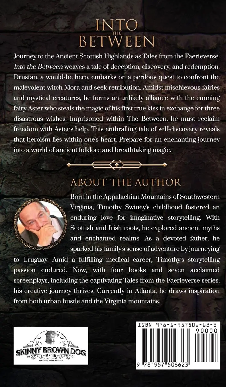 Rückseite: 9781957506623 | INTO THE BETWEEN | TALES FROM THE FAERIVERSE | Timothy Swiney | Buch