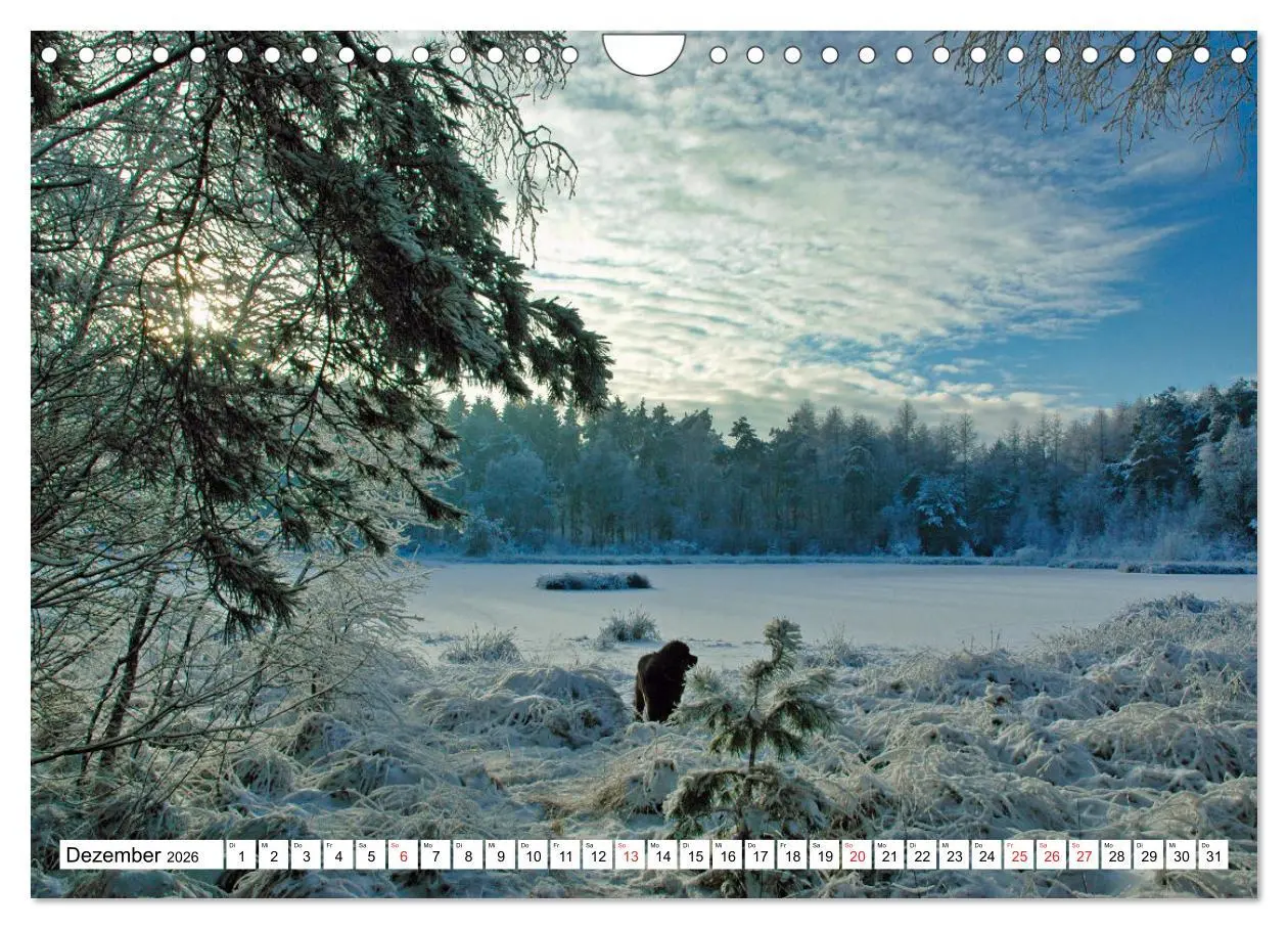 Bild: 9783457736623 | Wunderschönes Emsland (Wandkalender 2026 DIN A4 quer), CALVENDO...
