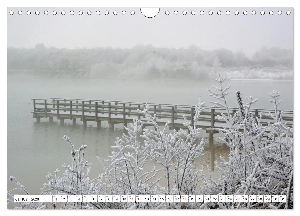 Bild: 9783457736623 | Wunderschönes Emsland (Wandkalender 2026 DIN A4 quer), CALVENDO...