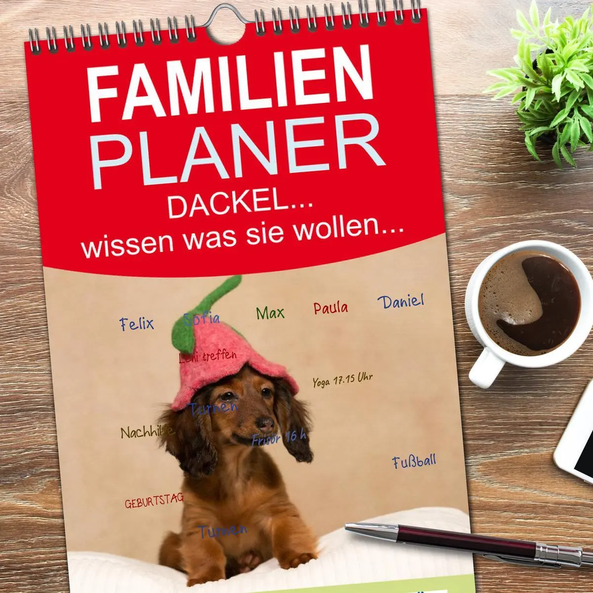 Bild: 9783516516623 | Familienplaner 2026 - DACKEL... wissen was sie wollen... (und was...