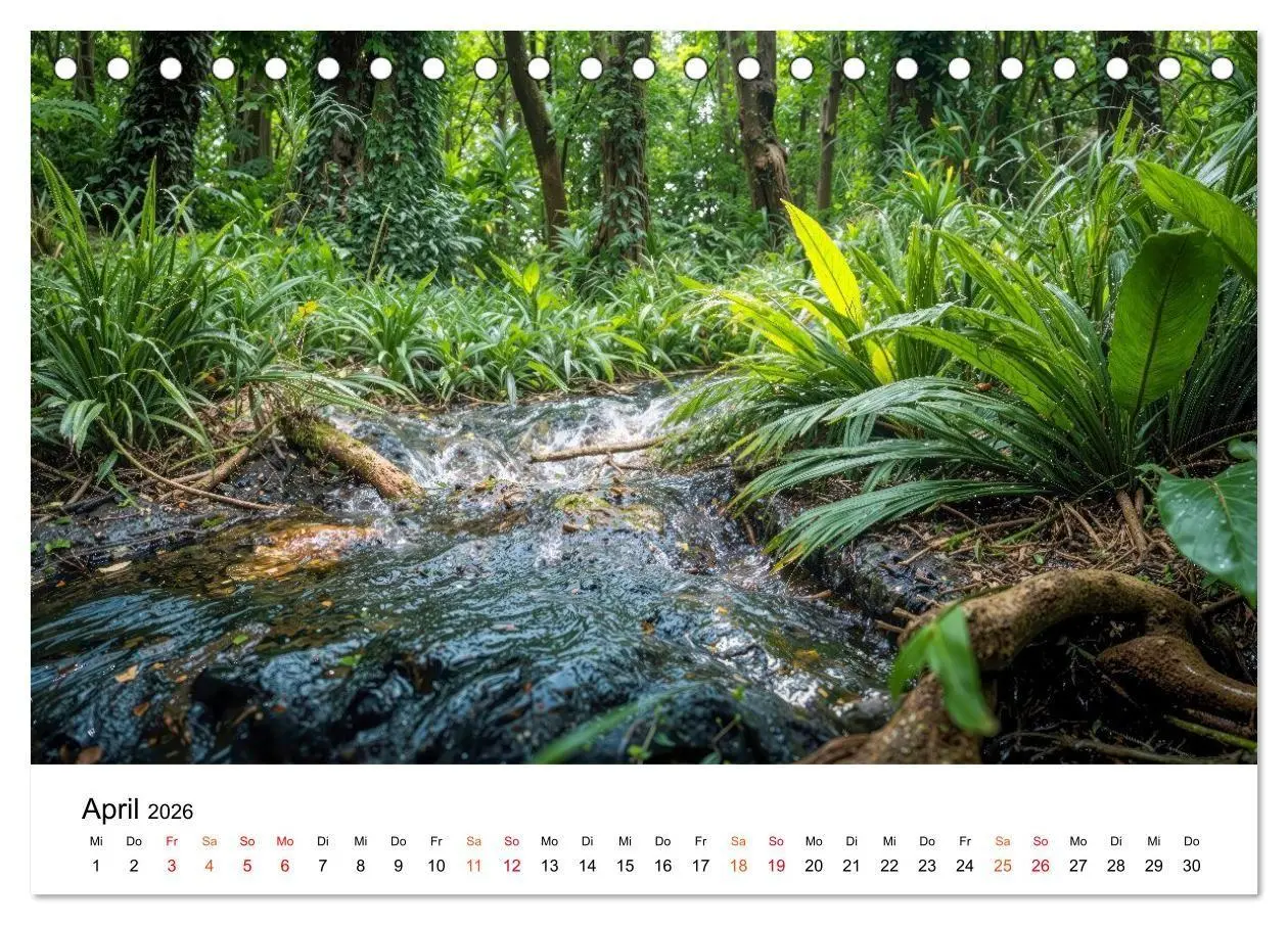 Bild: 9783516686623 | Naturzeit - Ein Jahr im Wandel (Tischkalender 2026 DIN A5 quer),...