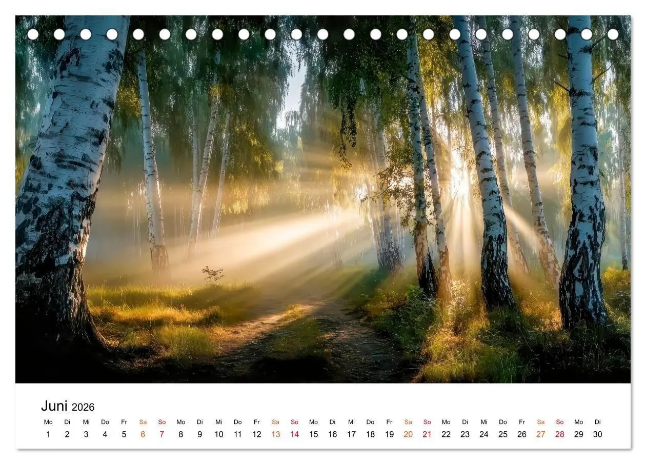 Bild: 9783516686623 | Naturzeit - Ein Jahr im Wandel (Tischkalender 2026 DIN A5 quer),...