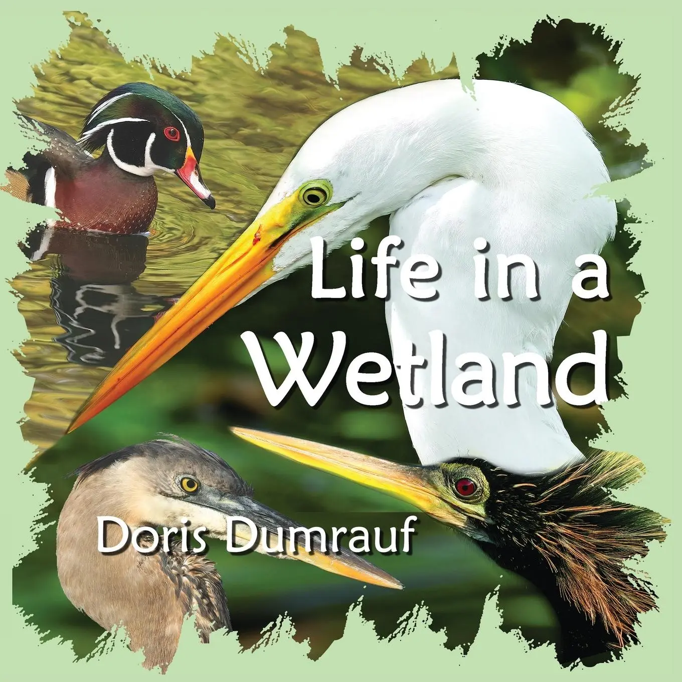 Cover: 9780997676723 | Life In A Wetland | Doris Dumrauf | Taschenbuch | Englisch | 2020
