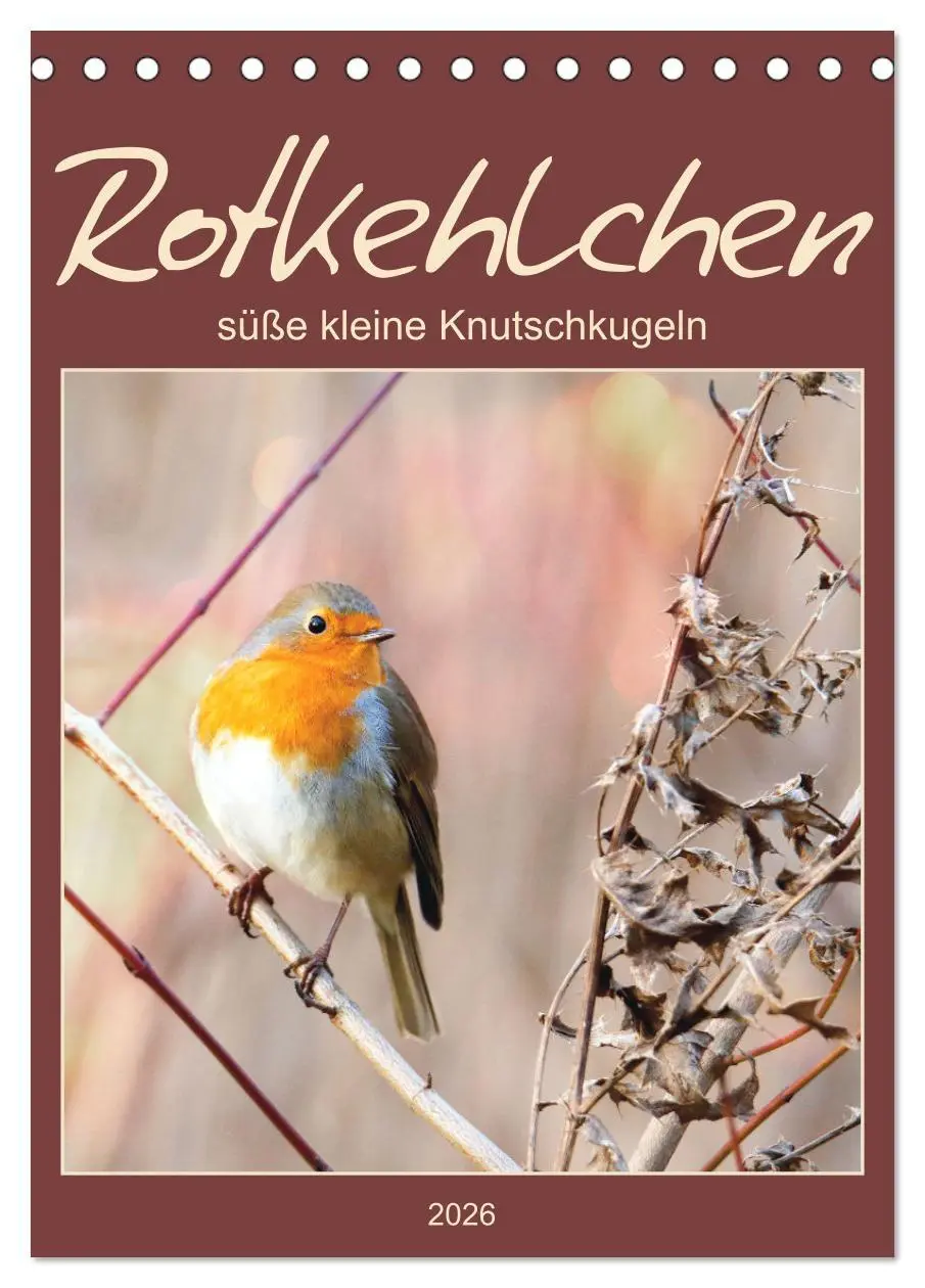 Cover: 9783516366723 | Rotkehlchen, süße kleine Knutschkugeln (Tischkalender 2026 DIN A5...