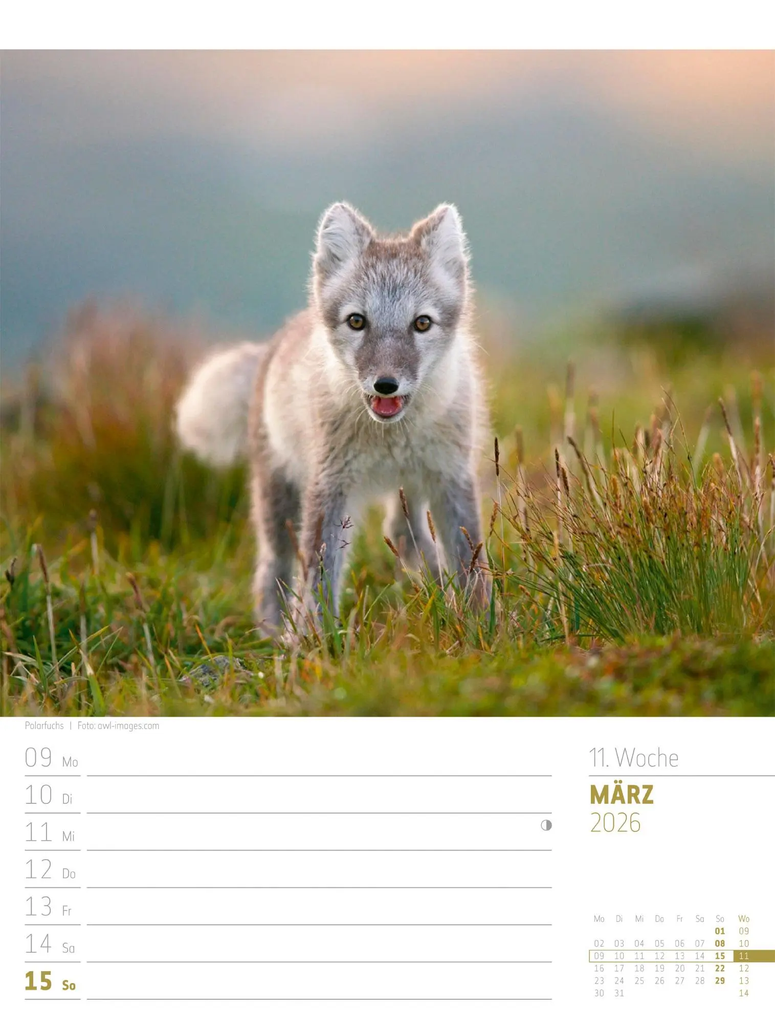 Bild: 9783838426723 | Skandinavien - Der Zauber des hohen Nordens - Wochenplaner Kalender...