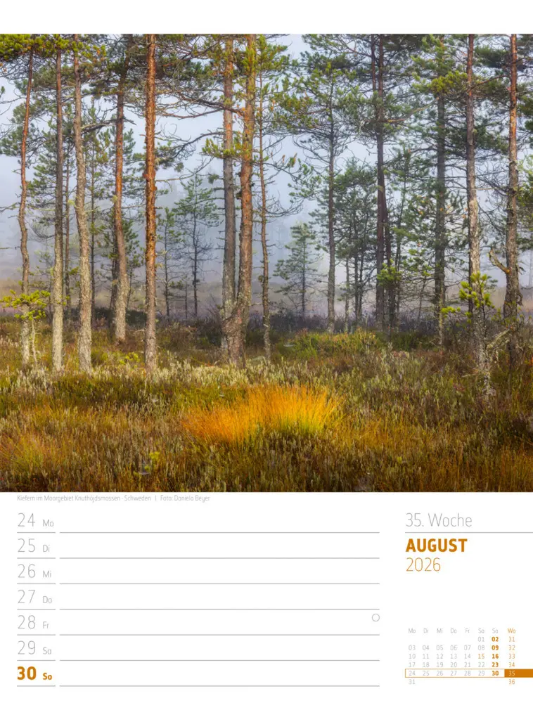 Bild: 9783838426723 | Skandinavien Wochenplaner Kalender 2026 Der Zauber des hohen Nordens
