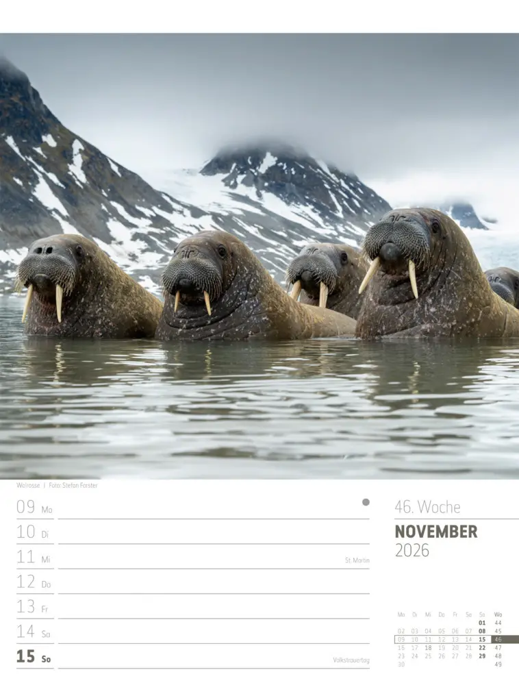 Bild: 9783838426723 | Skandinavien Wochenplaner Kalender 2026 Der Zauber des hohen Nordens