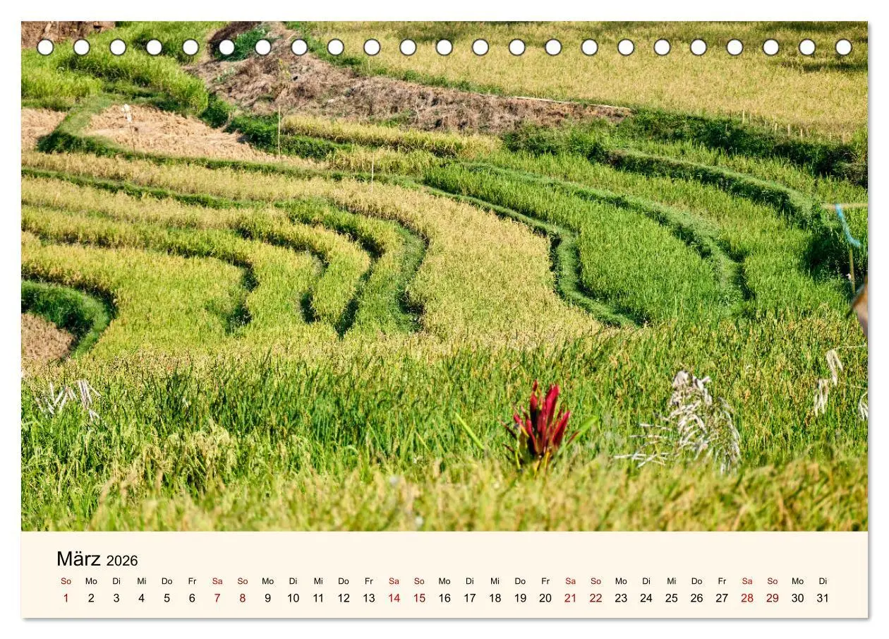 Bild: 9783457266823 | Sulawesi Im Reich der Torajas (Tischkalender 2026 DIN A5 quer),...