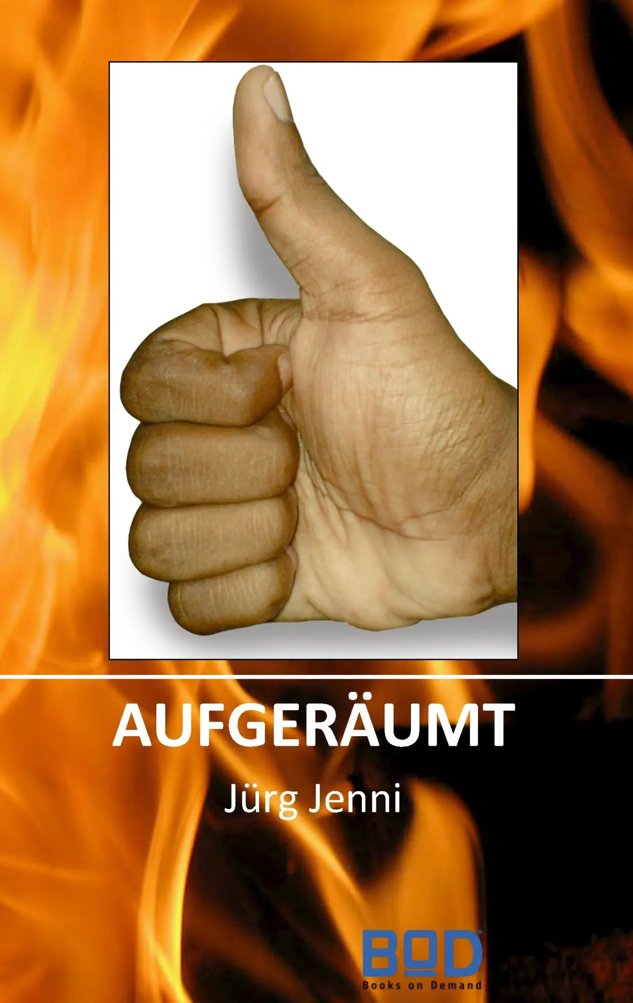 Cover: 9783732246823 | aufgeräumt | Jürg Jenni | Taschenbuch | 64 S. | Deutsch | 2013