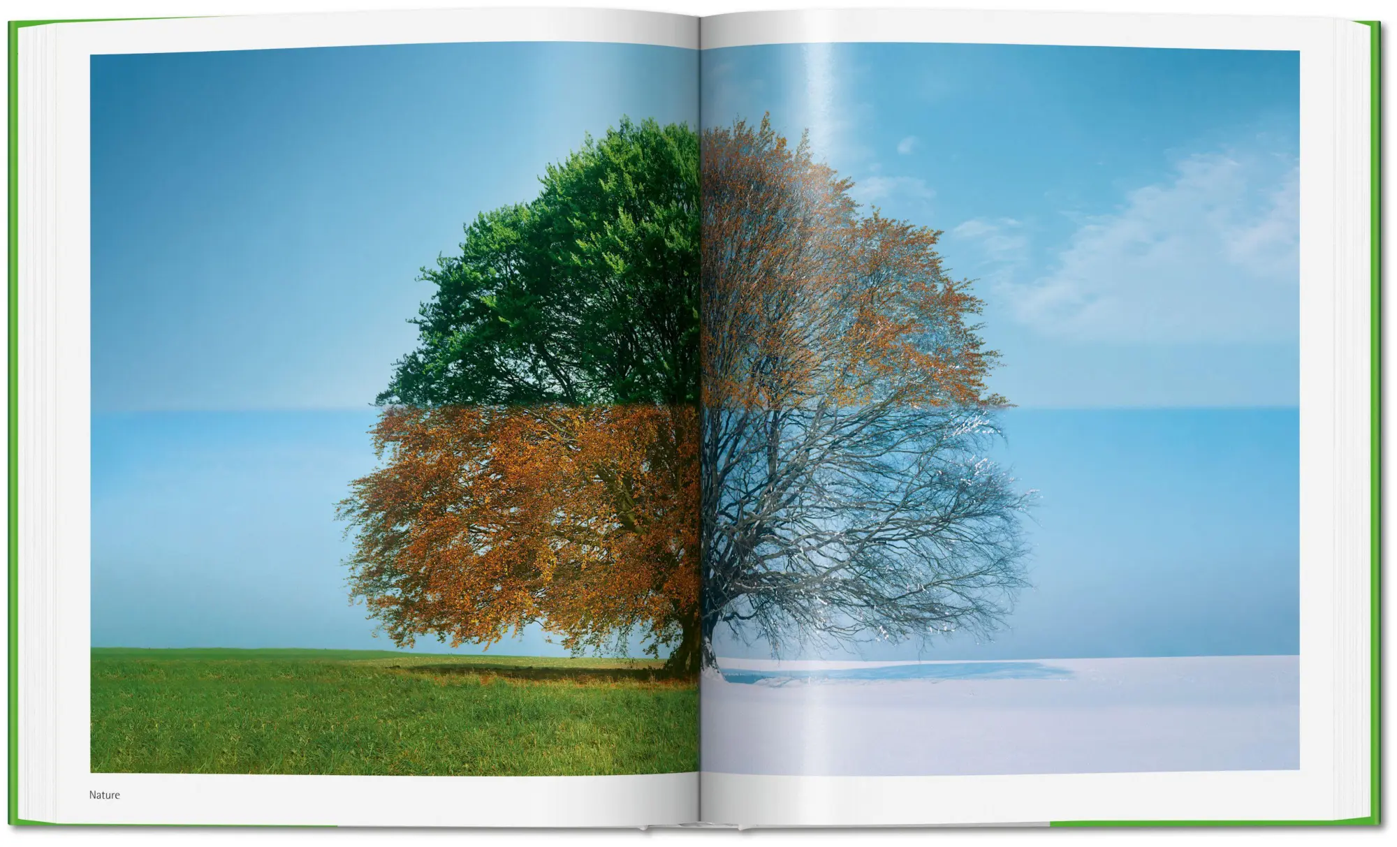 Bild: 9783754406823 | Norman Foster | Networks | Norman Foster | Buch | 368 S. | Englisch