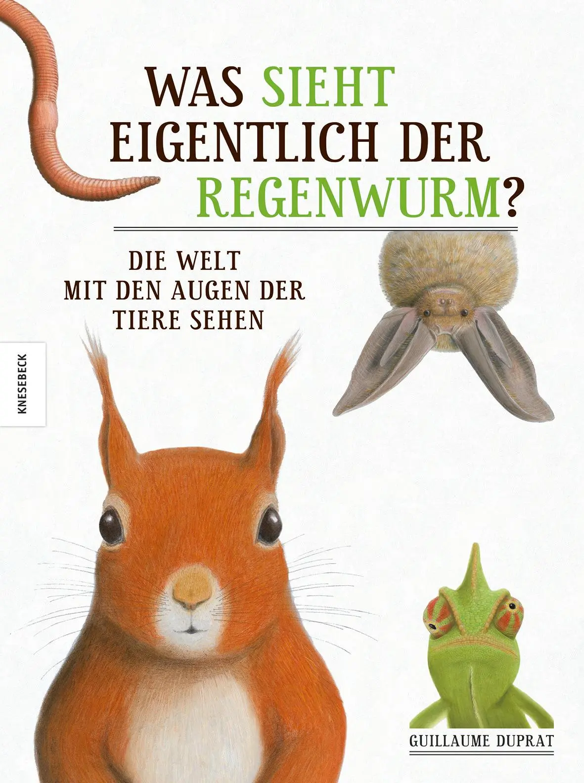 Cover: 9783868736823 | Was sieht eigentlich der Regenwurm? | Guillaume Duprat | Buch | 40 S.
