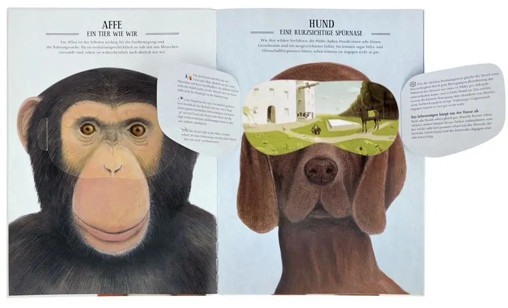 Bild: 9783868736823 | Was sieht eigentlich der Regenwurm? | Guillaume Duprat | Buch | 40 S.