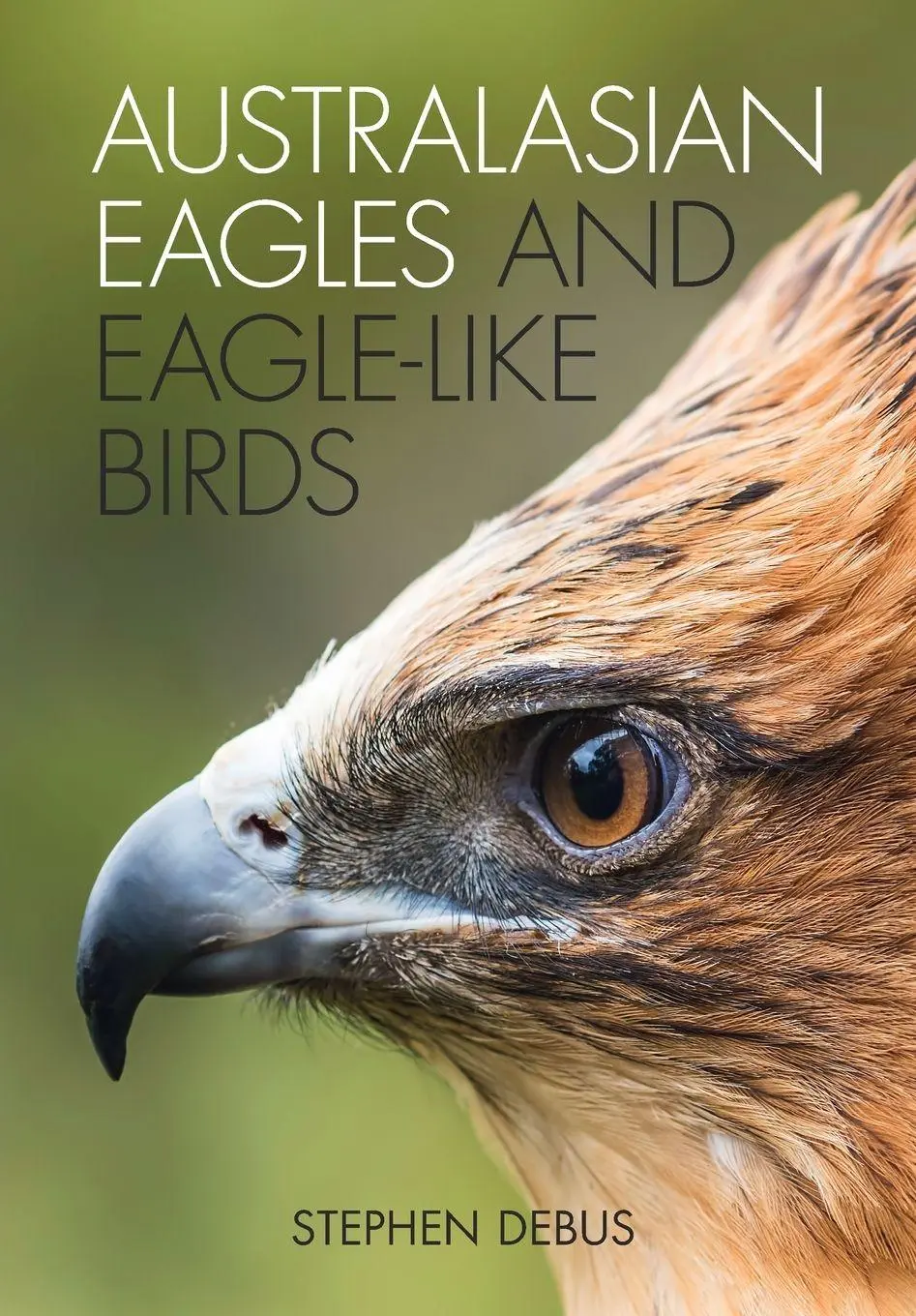 Cover: 9781486306923 | Australasian Eagles and Eagle-like Birds | Stephen Debus | Taschenbuch