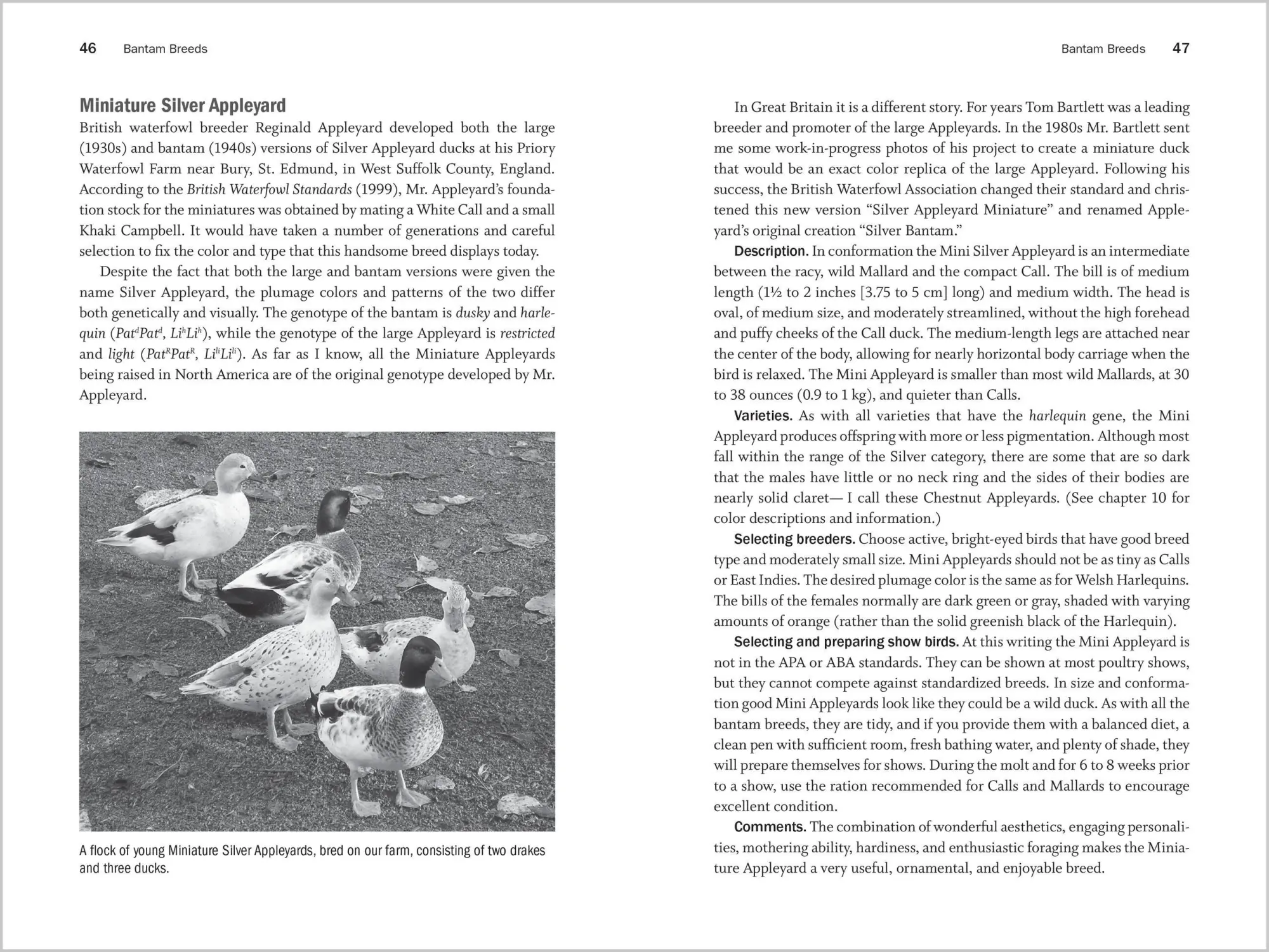 Bild: 9781603426923 | Storey's Guide to Raising Ducks, 2nd Edition | Breeds, Care, Health