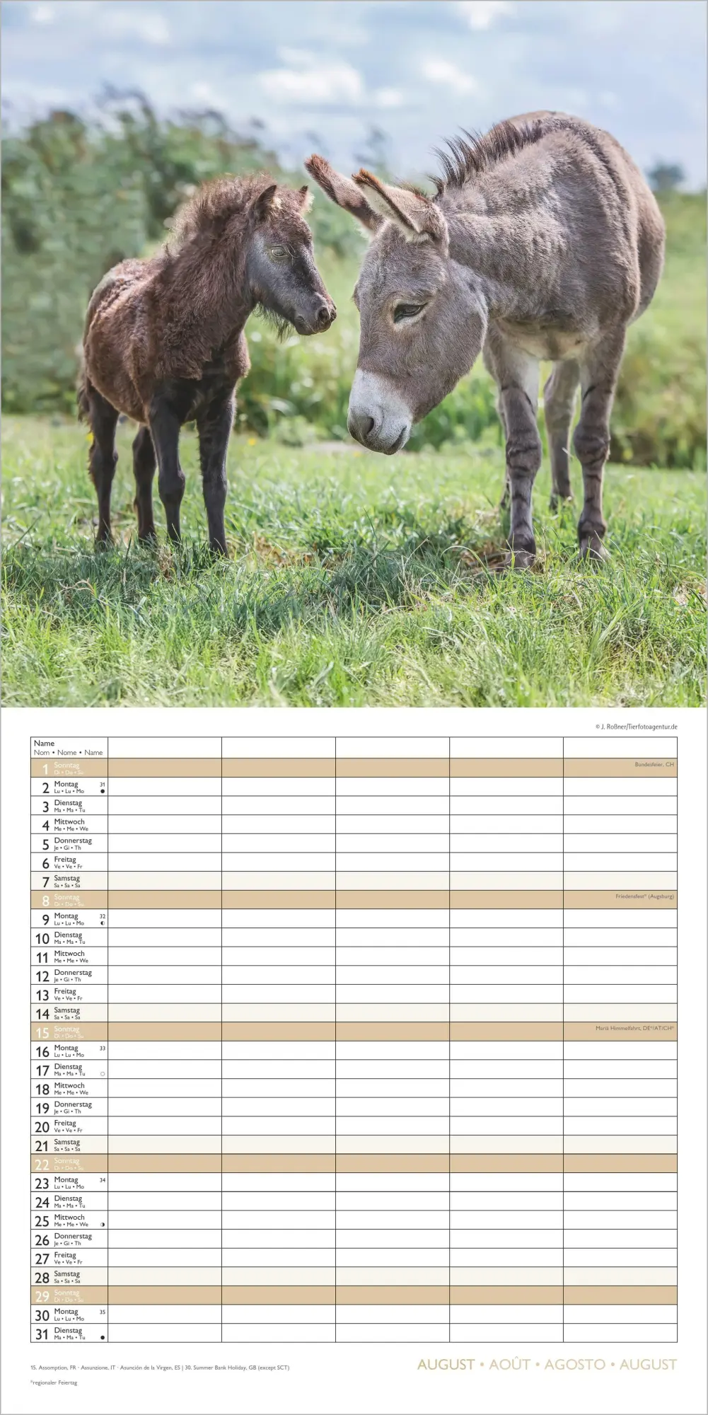 Bild: 4069095017023 | Familienplaner Beste Freunde 2027 | Neumann Verlage GmbH &amp; Co KG