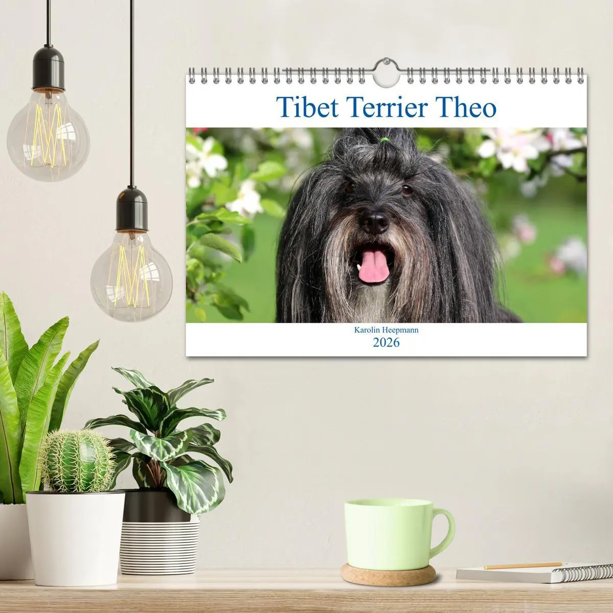 Bild: 9783457767023 | Tibet Terrier Theo (Wandkalender 2026 DIN A4 quer), CALVENDO...