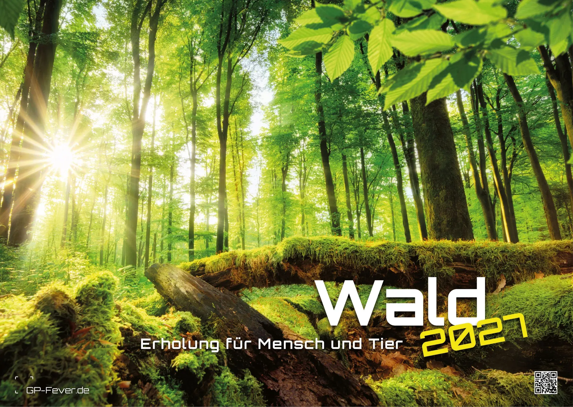 Cover: 9783986737023 | Wald - Erholung für Mensch und Tier - 2027 - Kalender DIN A3 | de