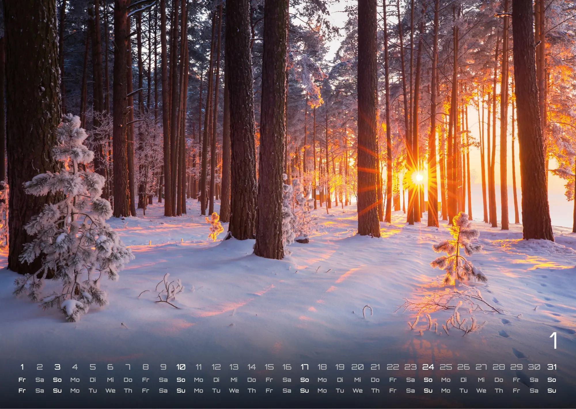 Bild: 9783986737023 | Wald - Erholung für Mensch und Tier - 2027 - Kalender DIN A3 | de