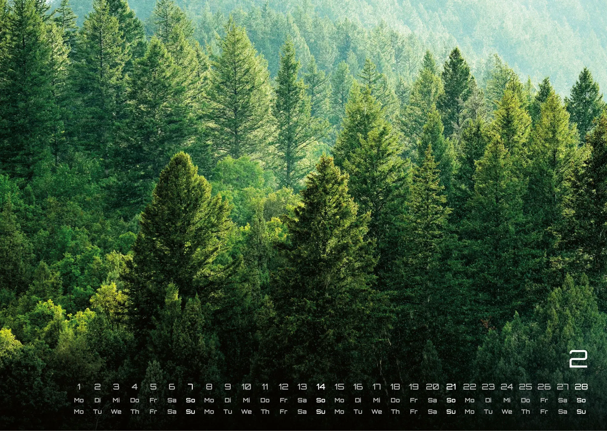 Bild: 9783986737023 | Wald - Erholung für Mensch und Tier - 2027 - Kalender DIN A3 | de