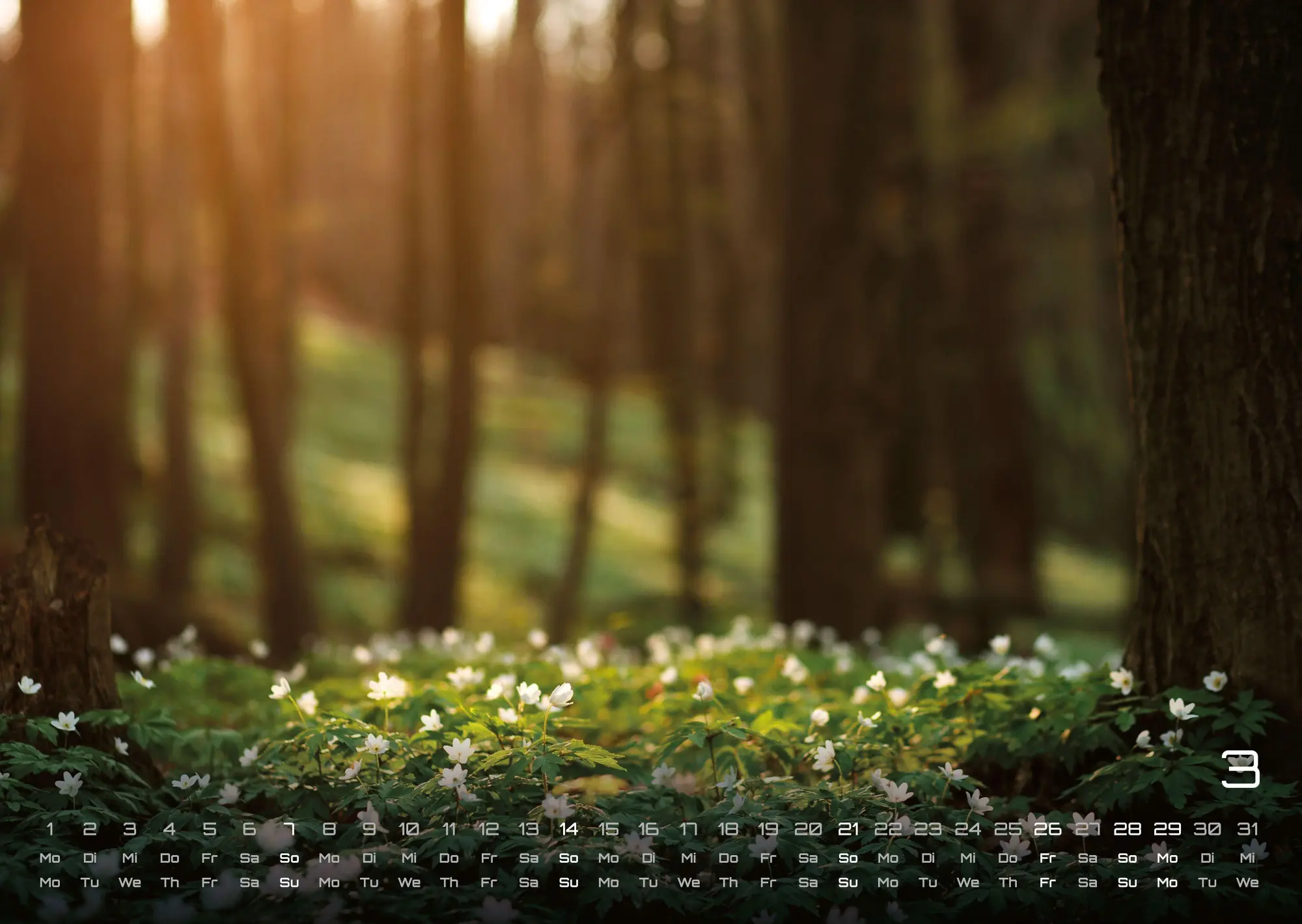 Bild: 9783986737023 | Wald - Erholung für Mensch und Tier - 2027 - Kalender DIN A3 | de