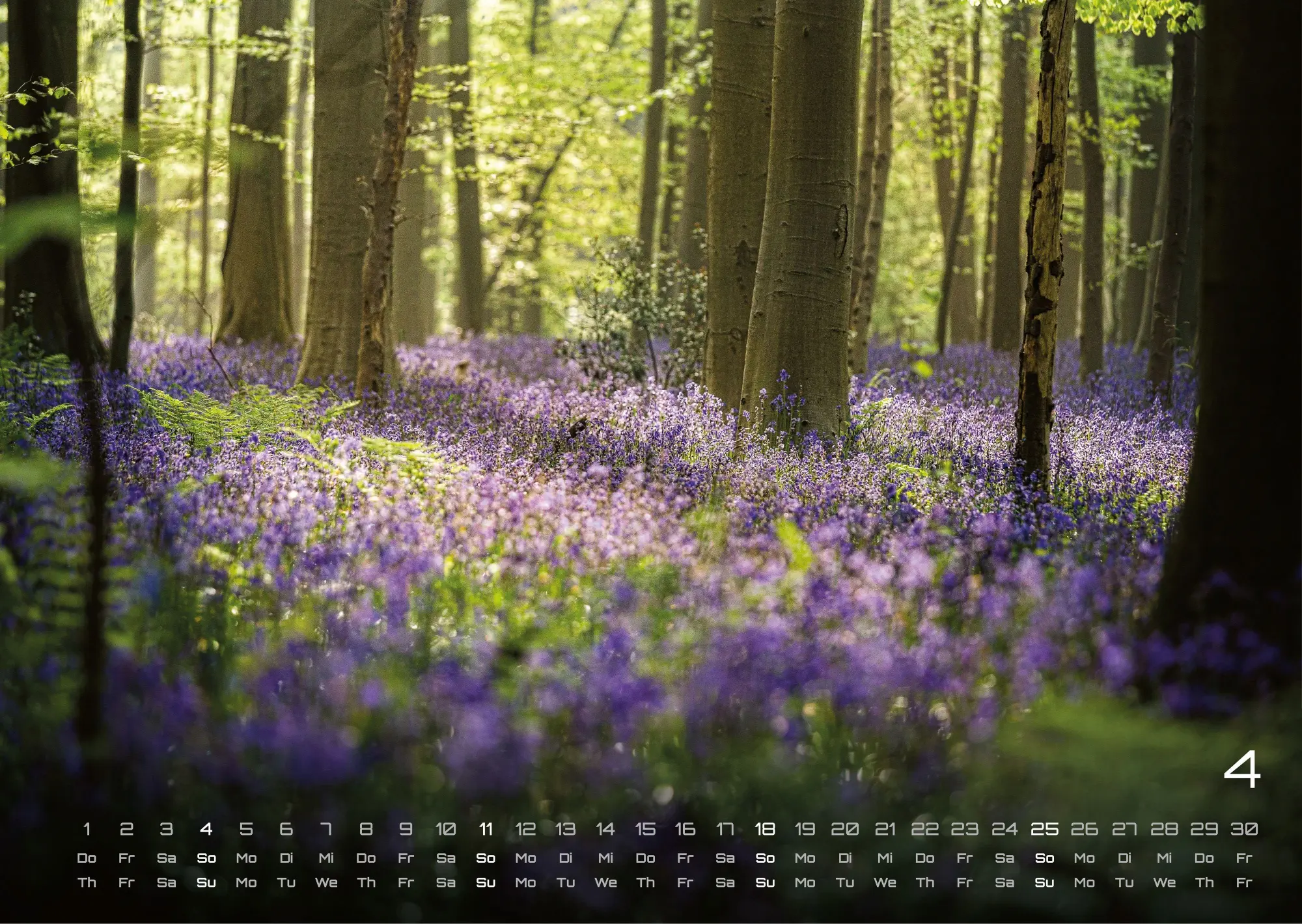 Bild: 9783986737023 | Wald - Erholung für Mensch und Tier - 2027 - Kalender DIN A3 | de