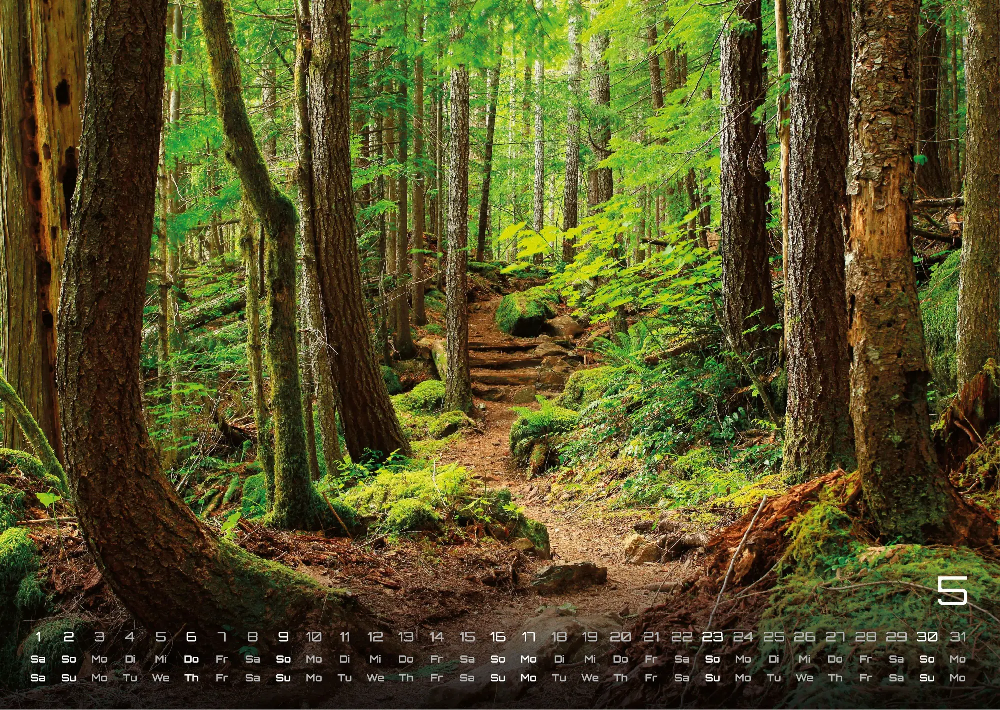 Bild: 9783986737023 | Wald - Erholung für Mensch und Tier - 2027 - Kalender DIN A3 | de