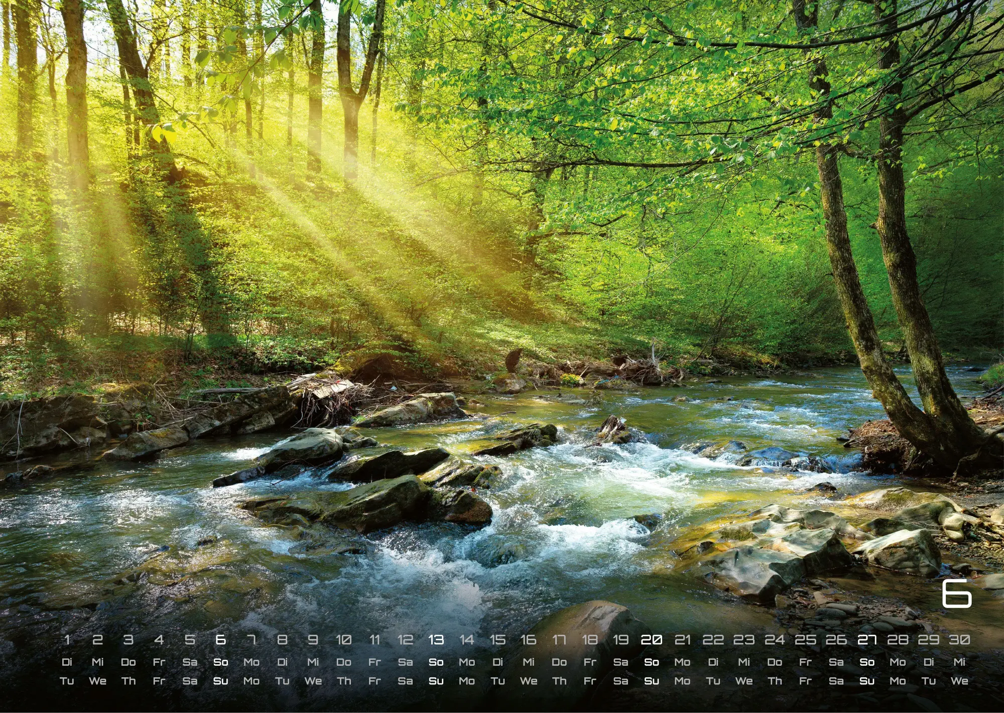 Bild: 9783986737023 | Wald - Erholung für Mensch und Tier - 2027 - Kalender DIN A3 | de
