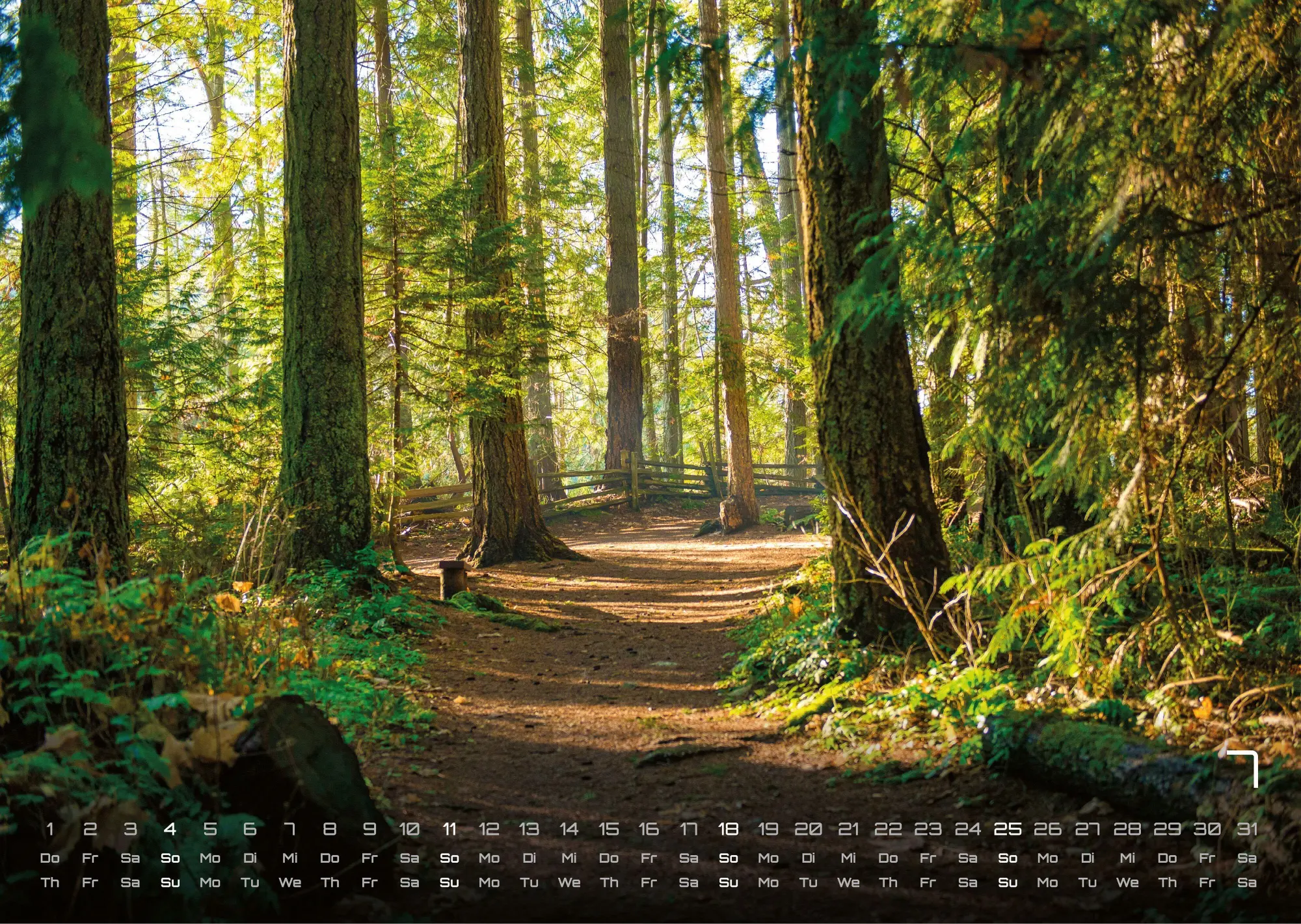 Bild: 9783986737023 | Wald - Erholung für Mensch und Tier - 2027 - Kalender DIN A3 | de